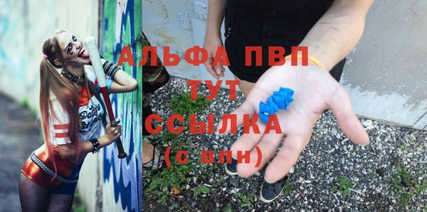 ГАЛЛЮЦИНОГЕННЫЕ ГРИБЫ Абаза
