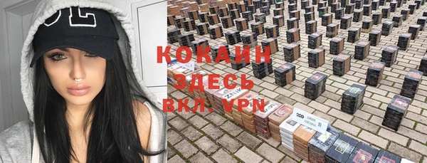 ГАЛЛЮЦИНОГЕННЫЕ ГРИБЫ Абаза