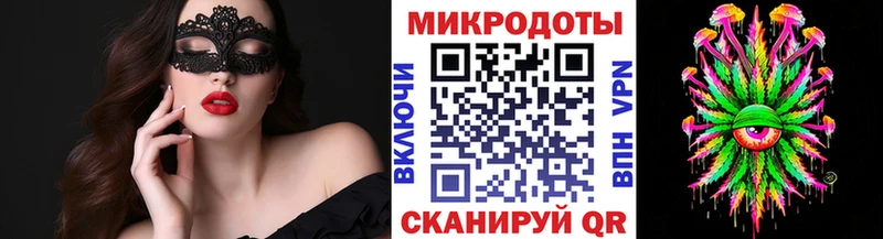 Галлюциногенные грибы Psilocybine cubensis Подпорожье