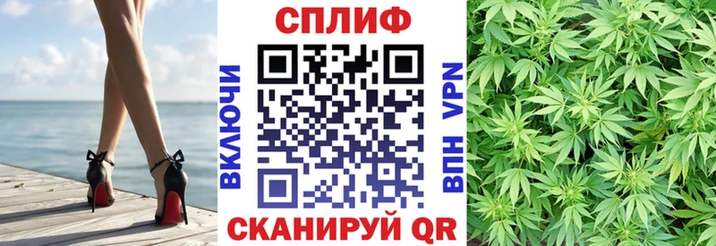 Бошки Шишки MAZAR blacksprut как войти Подпорожье